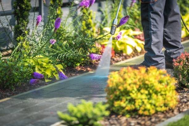 Best Patio and Deck Pressure Washing  in West Branch, IA